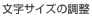文字サイズ